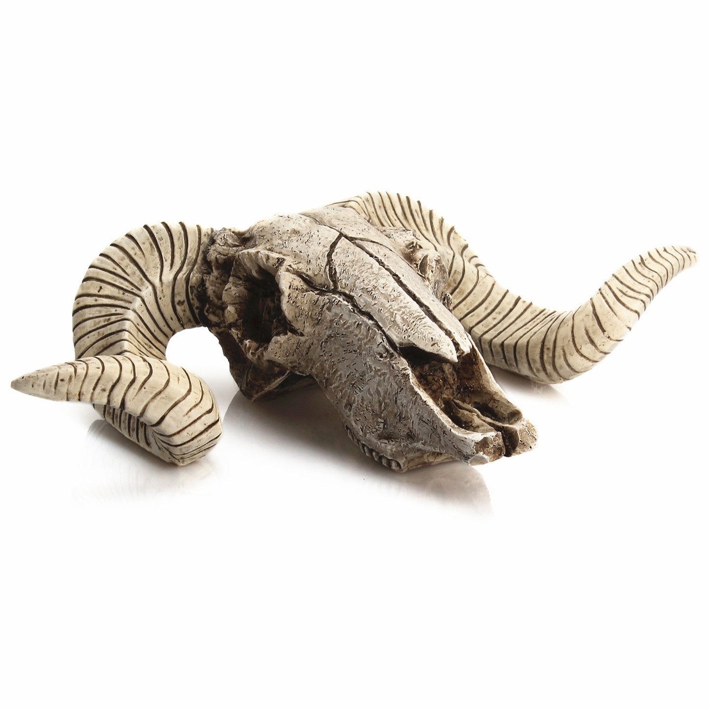 Sheep head skull wall hanging Christmas decoration holiday sheep horn magician